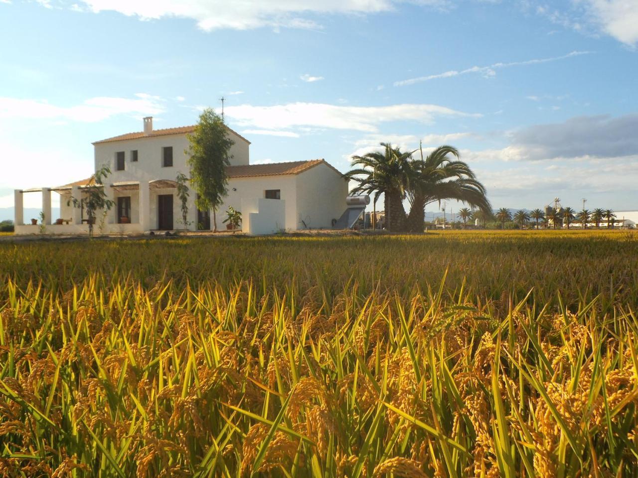 Mas Dels Bonos Guest House Делтебре Екстериор снимка